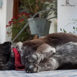 https://morlimon.aegeanhotels.net